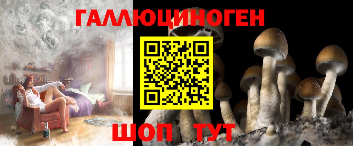 Псилоцибиновые грибы Cubensis Острогожск