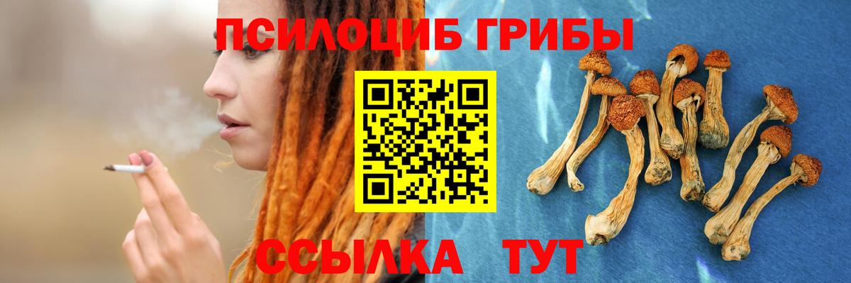 Галлюциногенные грибы GOLDEN TEACHER  закладка  Острогожск  Вход с VPN  Псилоцибиновые грибы прущие грибы 